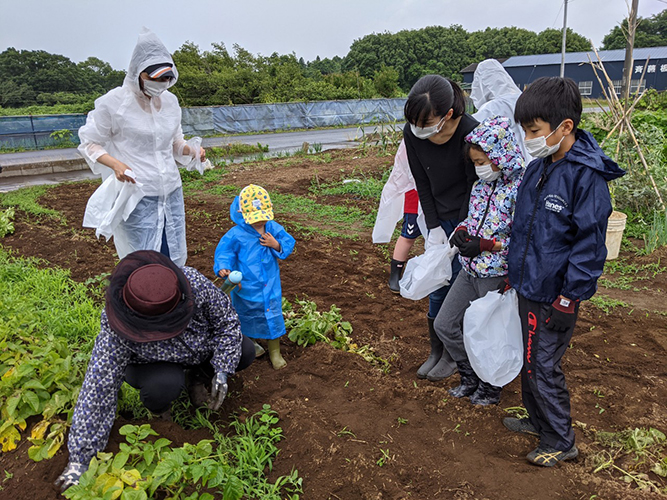amiseedの様子